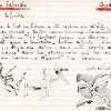 SESA Fichier Boyer Sallèles-Cabardès
