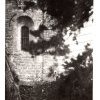 SESA Fichier Boyer Pouzols-Minervois