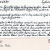 SESA Fichier Boyer Villasavary